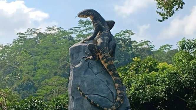 Patung biawak raksasa yang berdiri gagah di Desa Krasak