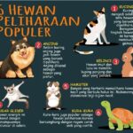 Mengenal Lebih Dekat Jenis-Jenis Hewan Peliharaan yang Populer di Indonesia
