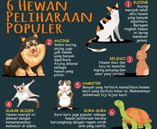 Mengenal Lebih Dekat Jenis-Jenis Hewan Peliharaan yang Populer di Indonesia