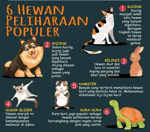 Mengenal Lebih Dekat Jenis-Jenis Hewan Peliharaan yang Populer di Indonesia