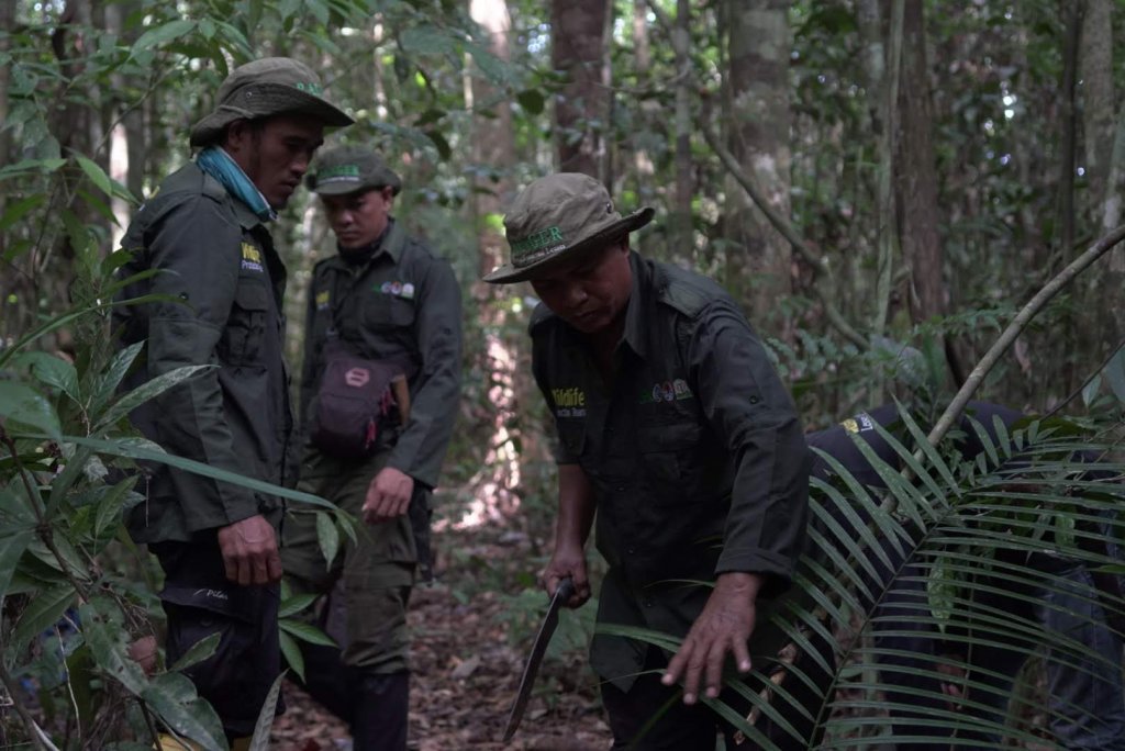 Penjaga Hutan Swadaya: Mereka yang Rela Jaga Alam Tanpa Gaji