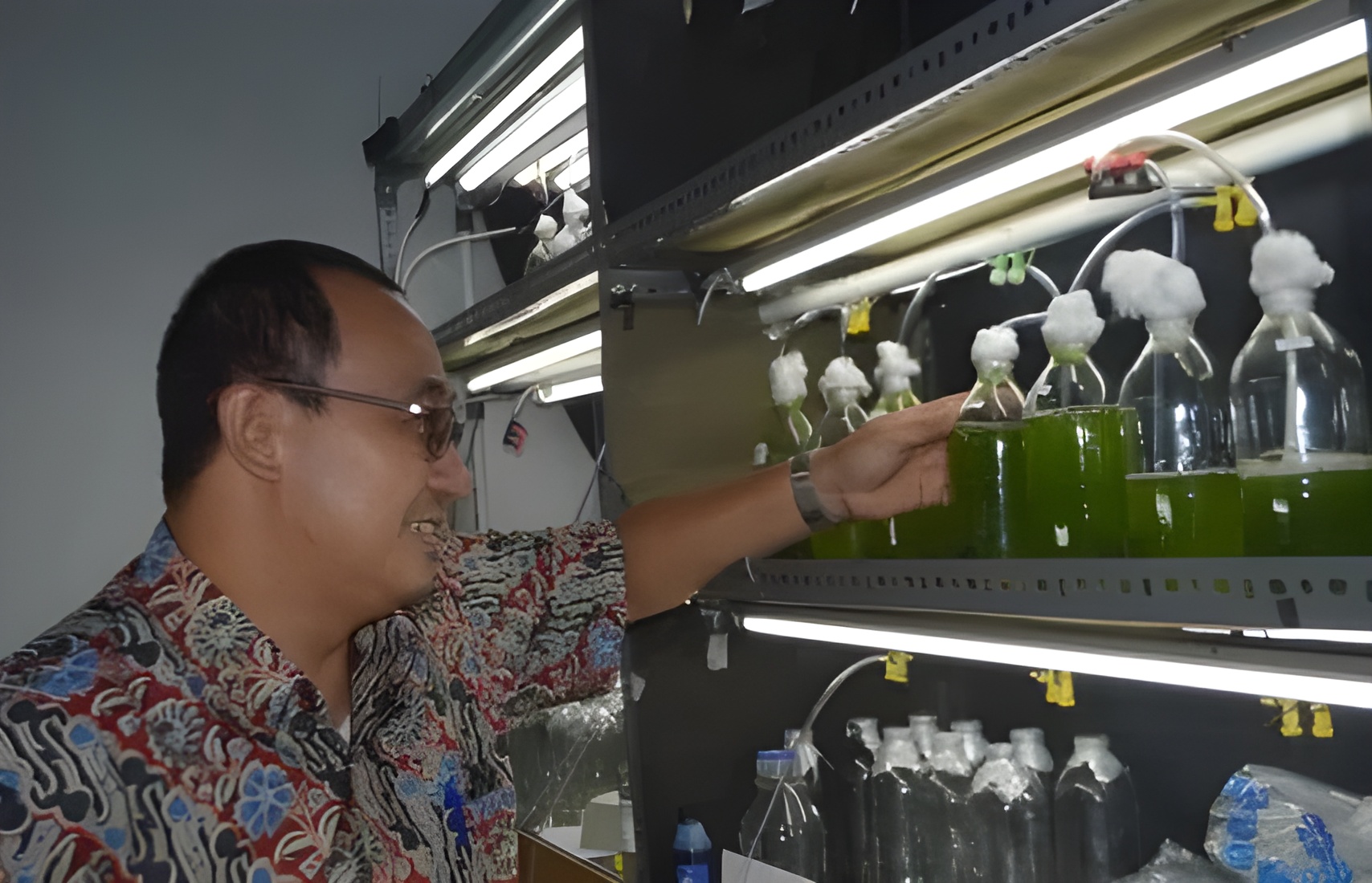 Penelitian BRIN: Temuan Baru Mikroalga Lokal sebagai Sumber Energi Terbarukan